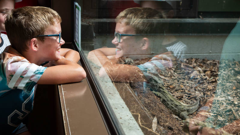 Learn about conservation work at Pūkaha National Wildlife Centre and possibly see New Zealand’s best native inhabitants with their chicks in the aviaries.